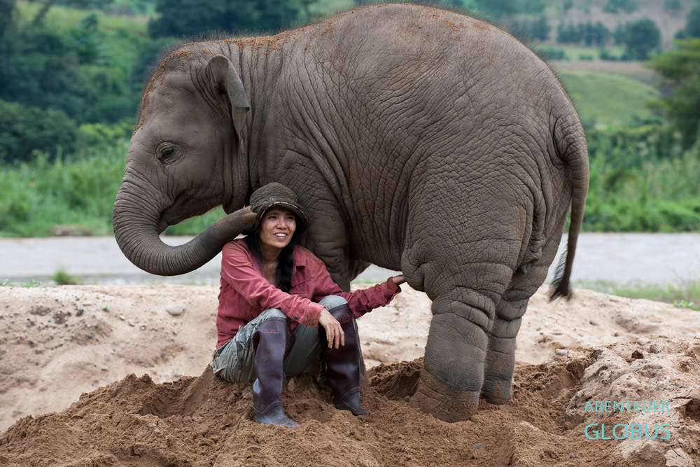 Elefantenretterin Sangduen Lek Chailert vom Elephant Nature Park spielt mit einem Elefantenbaby.