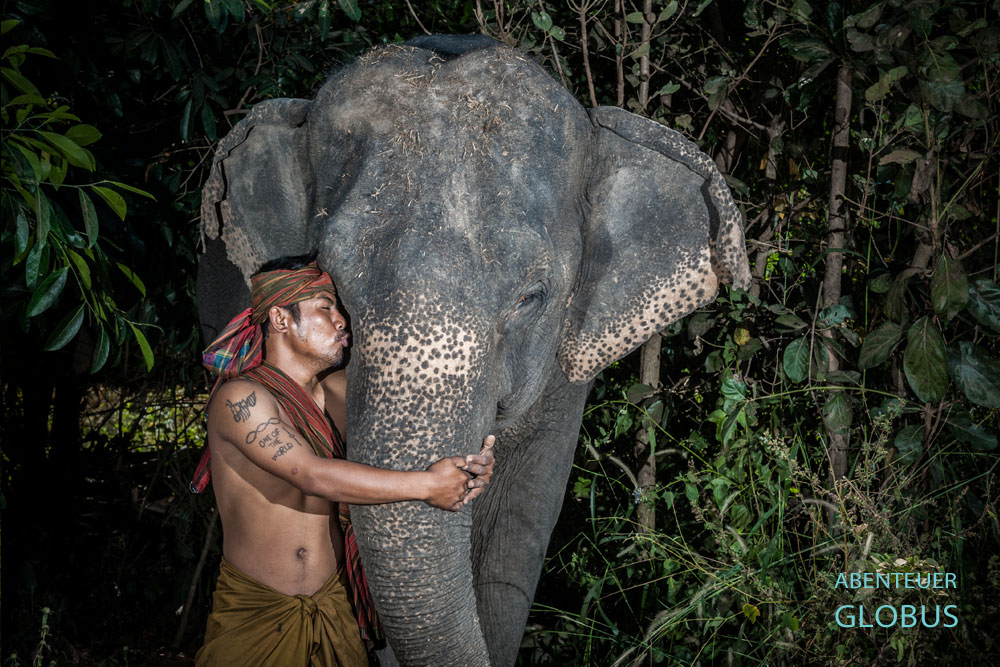 Elefant Sithong mag die Fürsorge von seinem Mahut Ket in Ban Ta Klang, dem Elefantendorf nahe Surin.