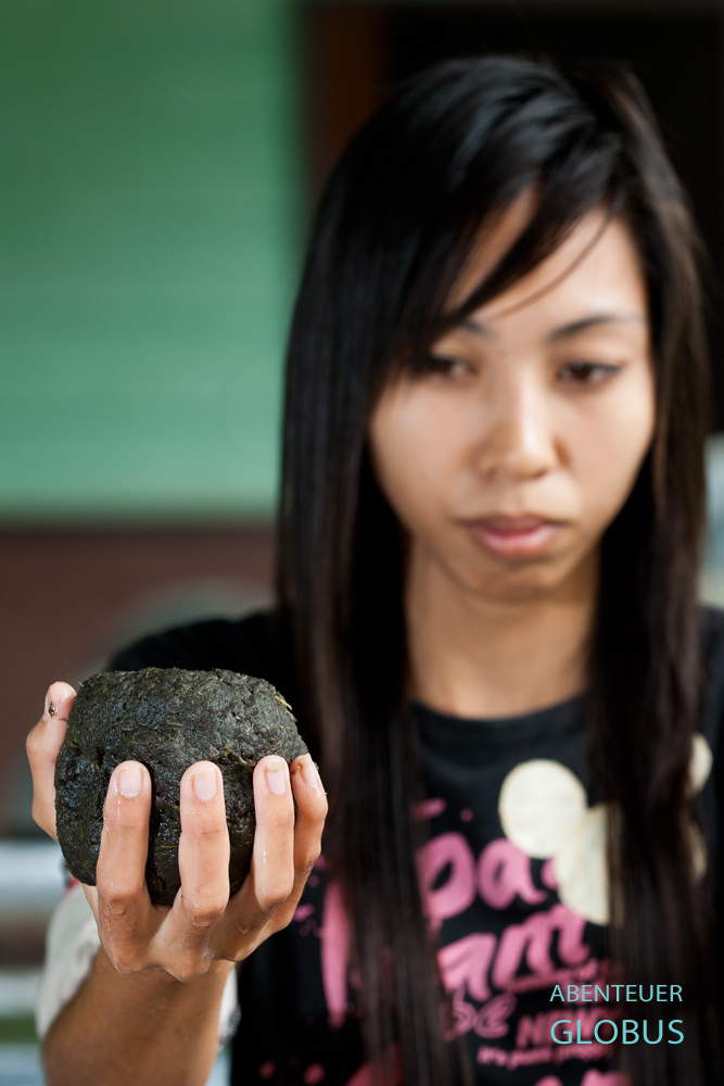 Aus einer 400 Gramm schweren Kugel entsteht ein Blatt Dungpapier im Thai Elephant Conservation Center Lampang.