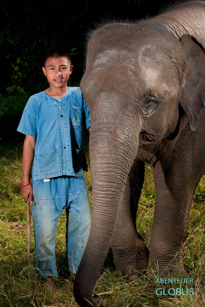 Jüngster Mahut im Anantara Elefantencamp heißt Tony. Er lebt mit Elefant Pumpui nahe dem Goldenen Dreieck in Nord-Thailand.