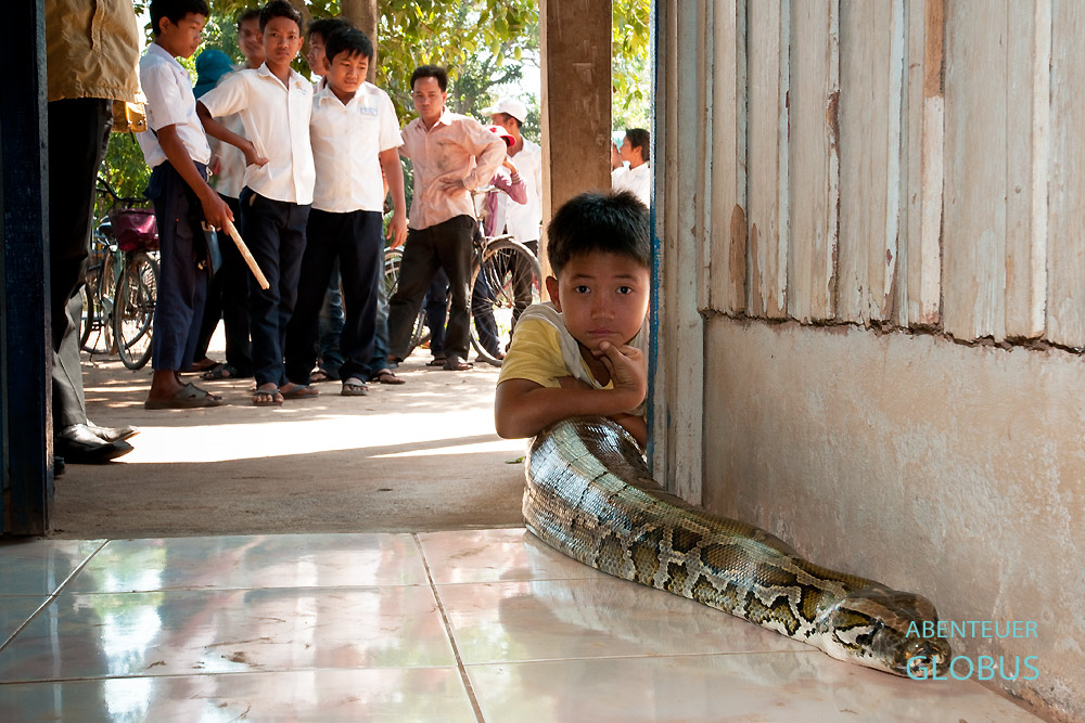 Kambodscha, Provinz Kandal. Sombath ist als Snake Boy nicht nur in seinem Dorf bekannt. Er lebt zusammen mit einem fünf Meter langen Python im Haus.