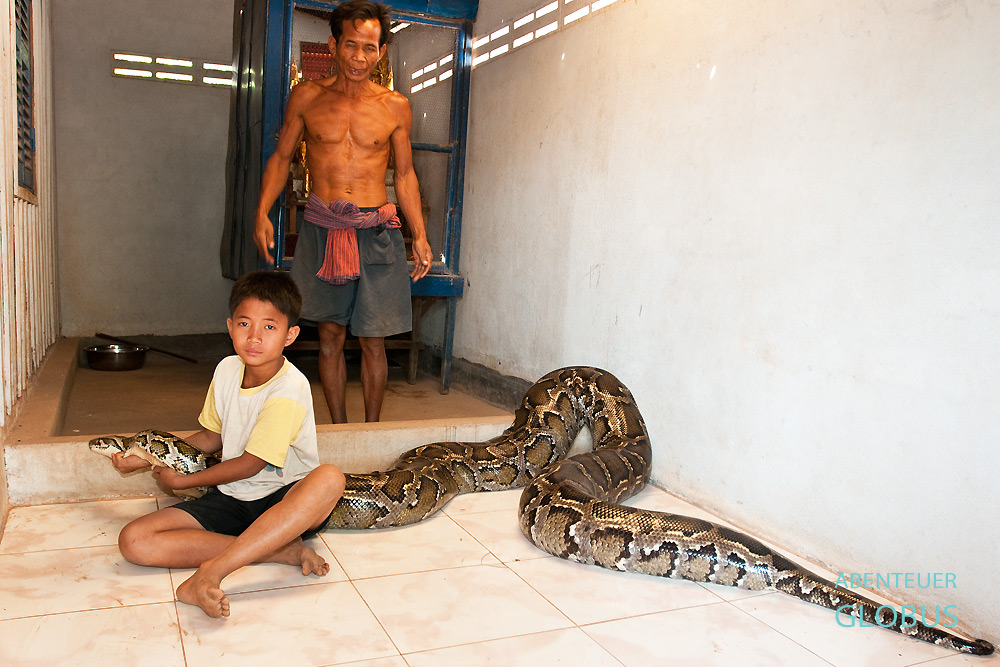 Um den 100 Kilo schweren Python vor das Haus zutragen, müssen Sombaths Vater Khuon und andere Familienmitglieder mitanpacken. Sombath wohnt in der Provinz Kandal in Kambodscha.