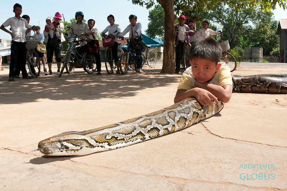 Wenn Snake Boy Sombath mit seinem Python vor dem Haus spielt, versammeln sich schnell Neugierige. Der Junge lebt mit seiner Familie in der Provinz Kandal in Kambodscha.