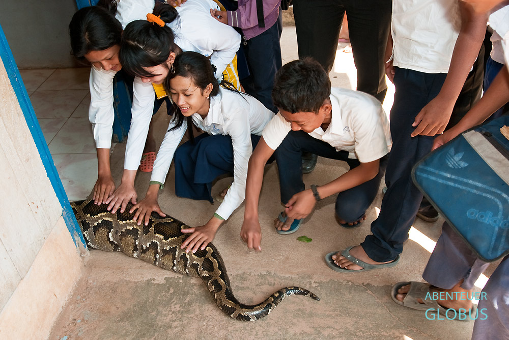 Wenn der Tigerpython im Freien ist, dann kommen Sombaths Freunde, um den kalten Schlangenkörper zu streicheln. 