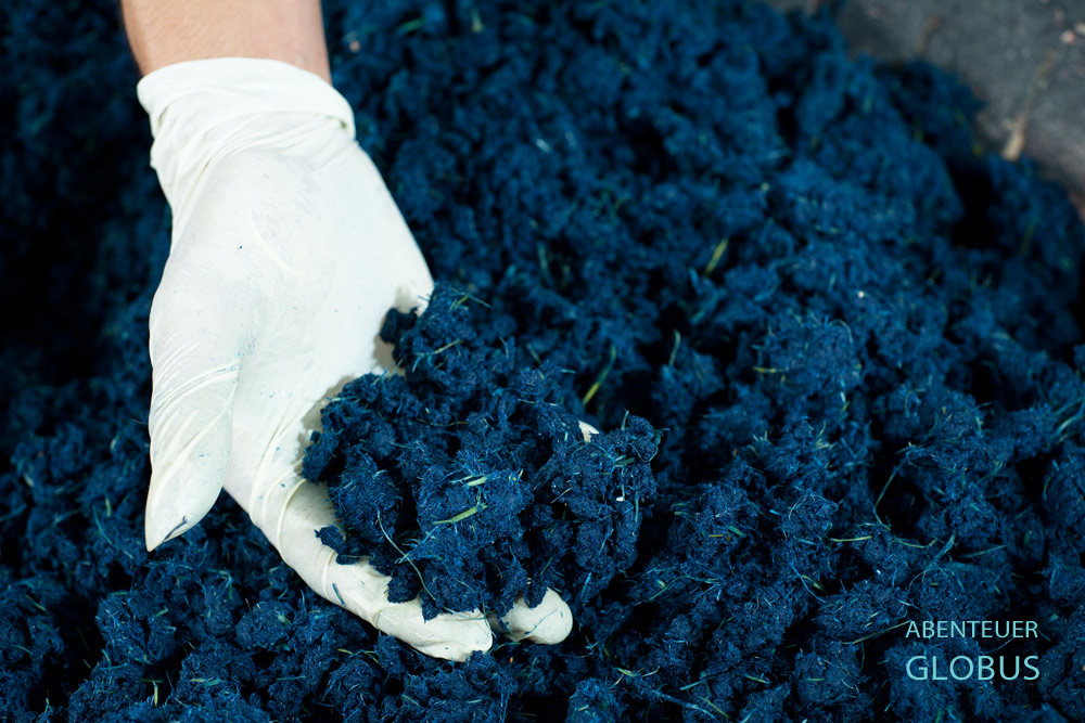 Blau gefärbter Elefanten-Mist. Die Papierherstellung aus Elefanten-Dung erfolgt im Thai Elephant Conservation Center Lampang.