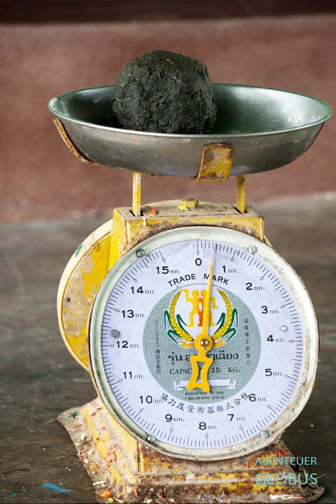 Waage mit einer 400 Gramm Kugel des verarbeiteten Elefanten-Dung im Thai Elephant Conservation Center Lampang in Thailand.