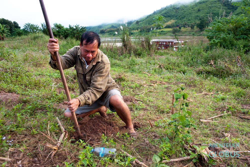 Mit Spaten und Plastikflasche sucht Kapitän Khao vom Boutique-Schiff Mekong Sun am Morgen Grillen am Mekong-Ufer.
