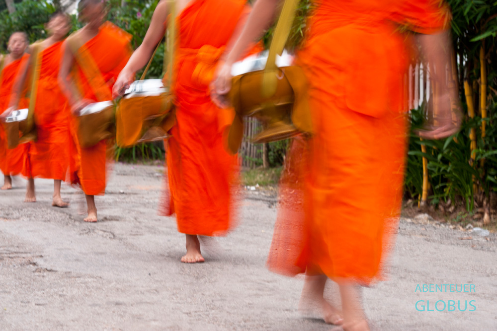 Mönche schreiten zum Almosengang durch Luang Prabang in Laos.