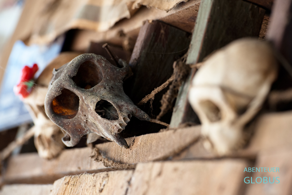 Laos am Mekong: Das Volk der Khmu im Mekong-Dorf Don Mixay glaubt, dass Affenschädel über Hauseingängen böse Geister und Dämonen fernhält.