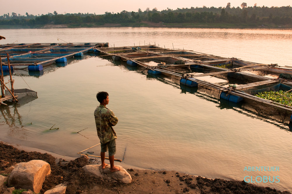 Ein Laote genießt morgendliche Stille am Mekong. In Ban Hung Noi in der Provinz Champasak schwimmen kleine Fischfarmen im Mekong.