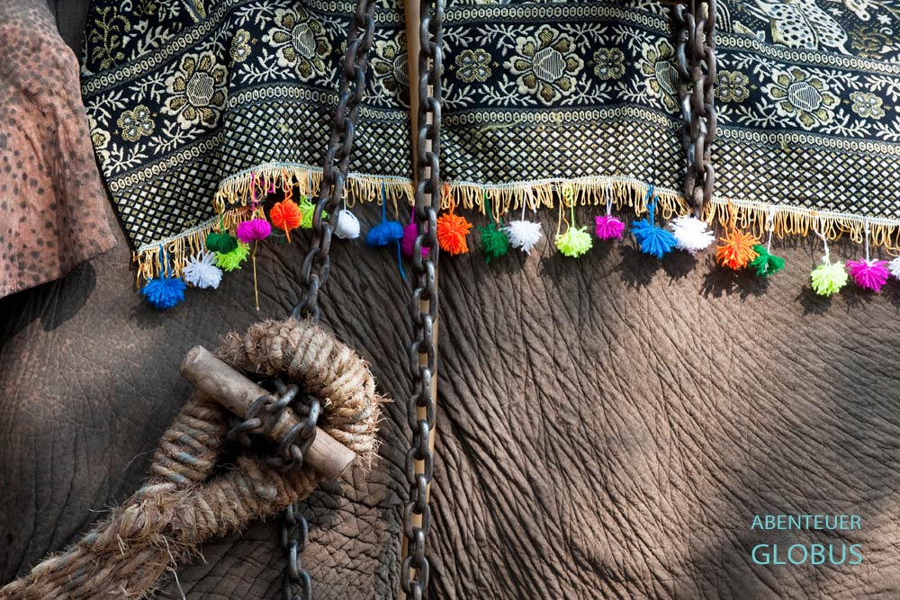 Vieng Keo: Zum Elefantenfest in der Provinz Sayaboury in Laos werden alle Elefanten geschmückt, hier mit einer Bommeln verzierten Satteldecke.