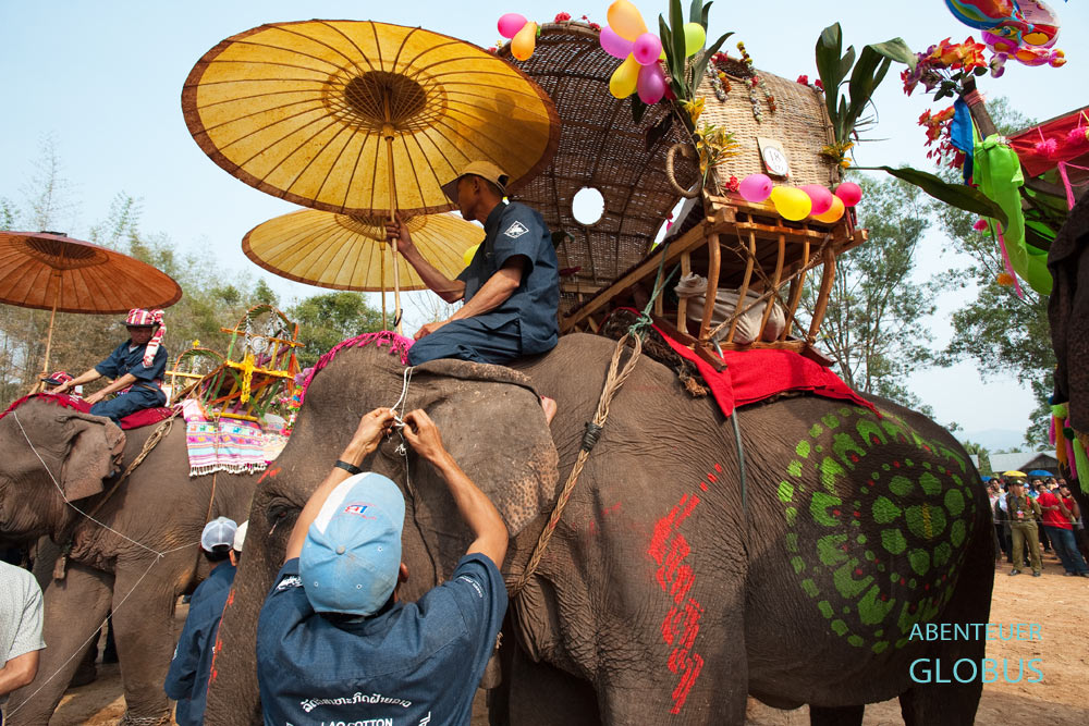 Elefantenfest in Vieng Keo, Nord-Laos. Ein Mahut (Elefantenführer) bindet weiße Baumwollfäden an einem Elefanten. Sie bringen Glück für die Dickhäuter und deren Besitzer.