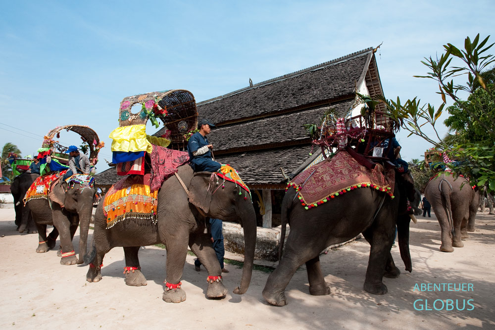 Zehn Elefanten drehen mit ihren Mahuts (Elefantenführer) drei Runden um den Tempel vom Dorf Vieng Keo bei Hongsa.