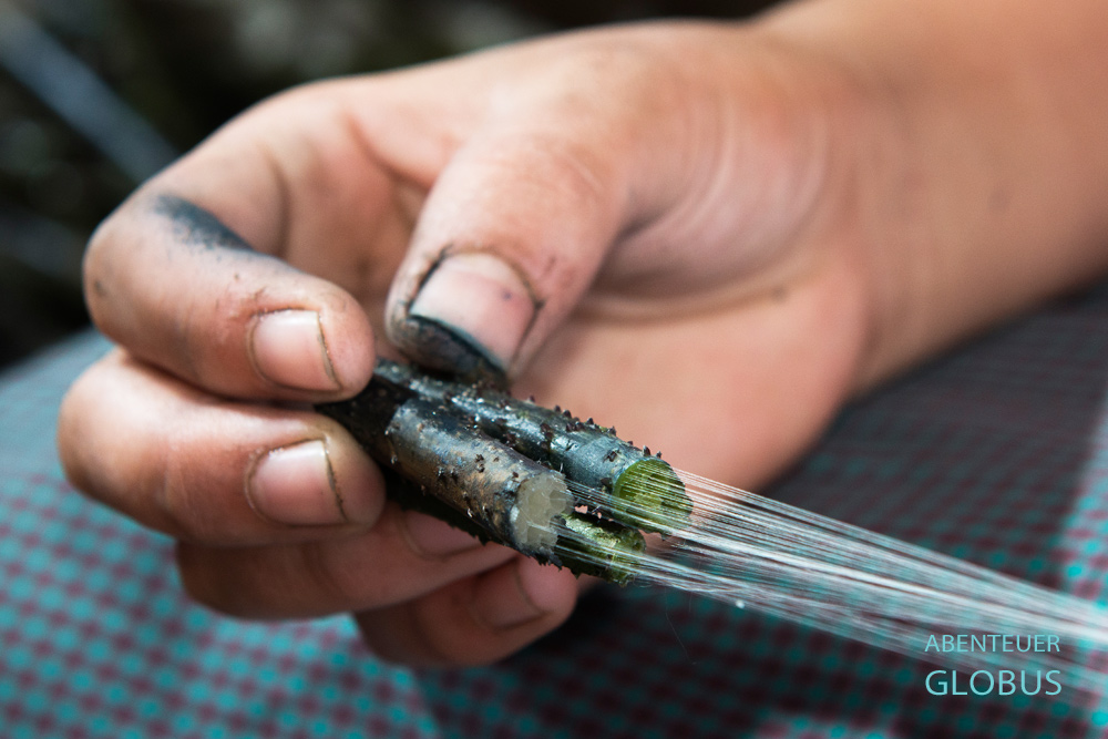 Die hauchdünnen Lotusfäden werden zusammengerollt, so entsteht der Zwirn in der Lotusweberei im Dorf Inpaw Khon auf dem Inle-See.