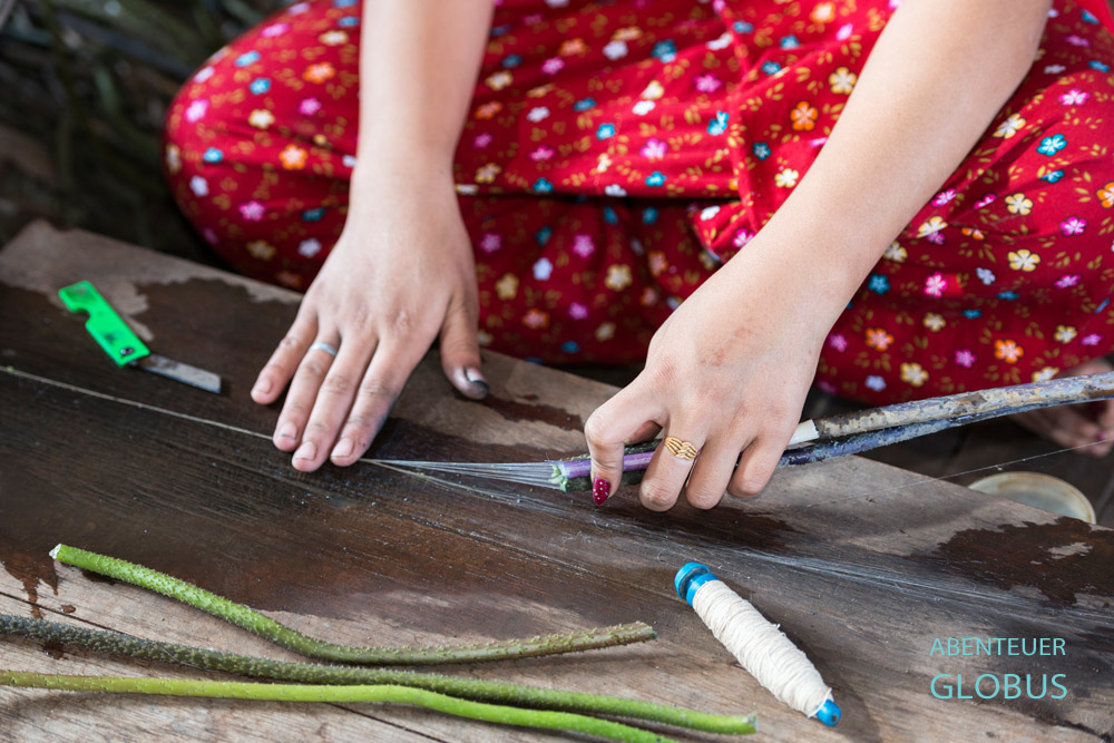 Geschnittene Lotusstiele werden auseinandergezogen und die unzähligen Fäden mit den Finger zu Garn zusammengerollt. Eine Angestellte bei Myat Pwint Chel Silk & Lotos Weaving demonstriert diesen Vorgang.