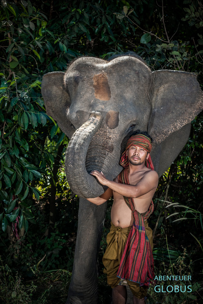 Elefantenführer, auch Mahut, Bunpeng mit seinem Elefant Ay posieren im Elefantencamp bei Surin.