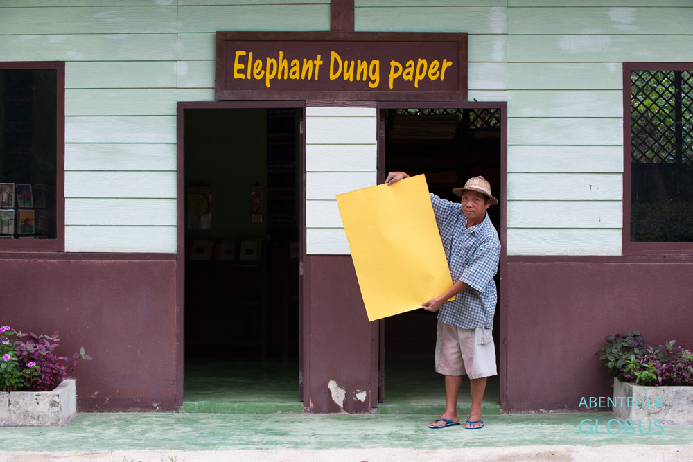 Angestellter des Schutzzentrums für Elefanten Lampang zeigt ein Papierblatt aus Elefanten-Dung vor dem Elephant Dung Paper Shop in Nord-Thailand.