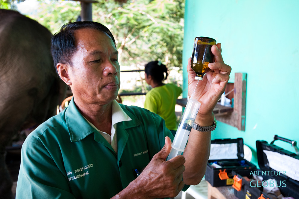 Ein Tierarzt heilt die misshandelten Arbeitselefanten im Elephant Nature Park Chiang Mai.