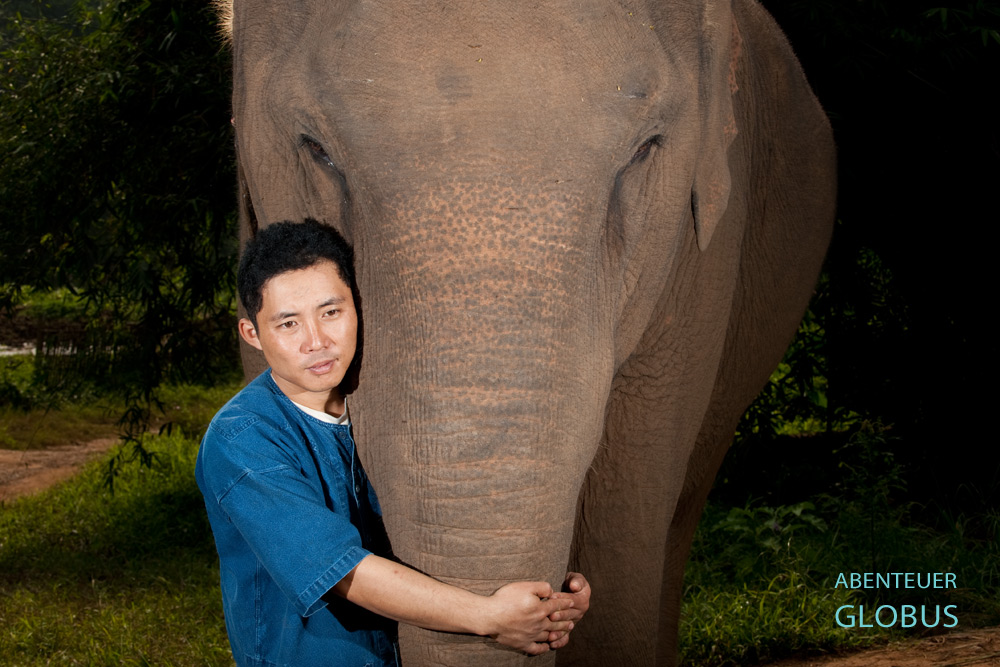 Ein Mahout umarmt den Rüssel seines Elefanten im Anantara Elefantencamp im Goldenen Dreieck in Thailand.