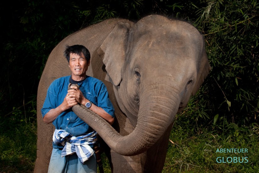 Fotoserie Mensch und Tier: Mahut und Elefant in Thailand | Fotos von Mario Weigt