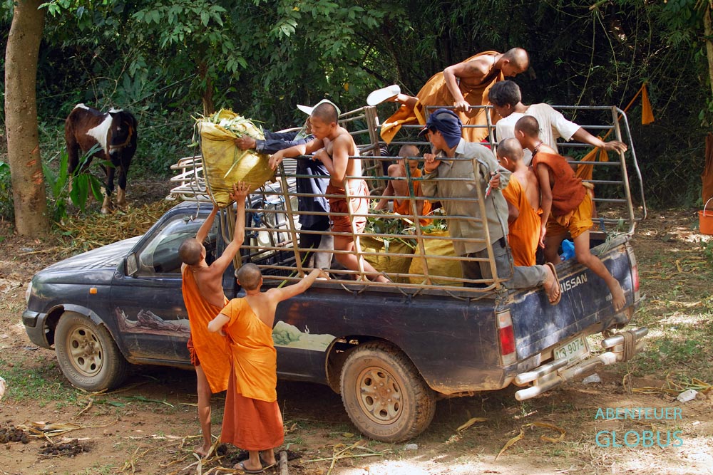 Die Novizen bekommen im Pferdetempel Wat Tham Pa Archa Thong, im Goldenen Dreieck, Thailand, jeder ein eigenes Pferd, um das sie sich kümmern müssen.