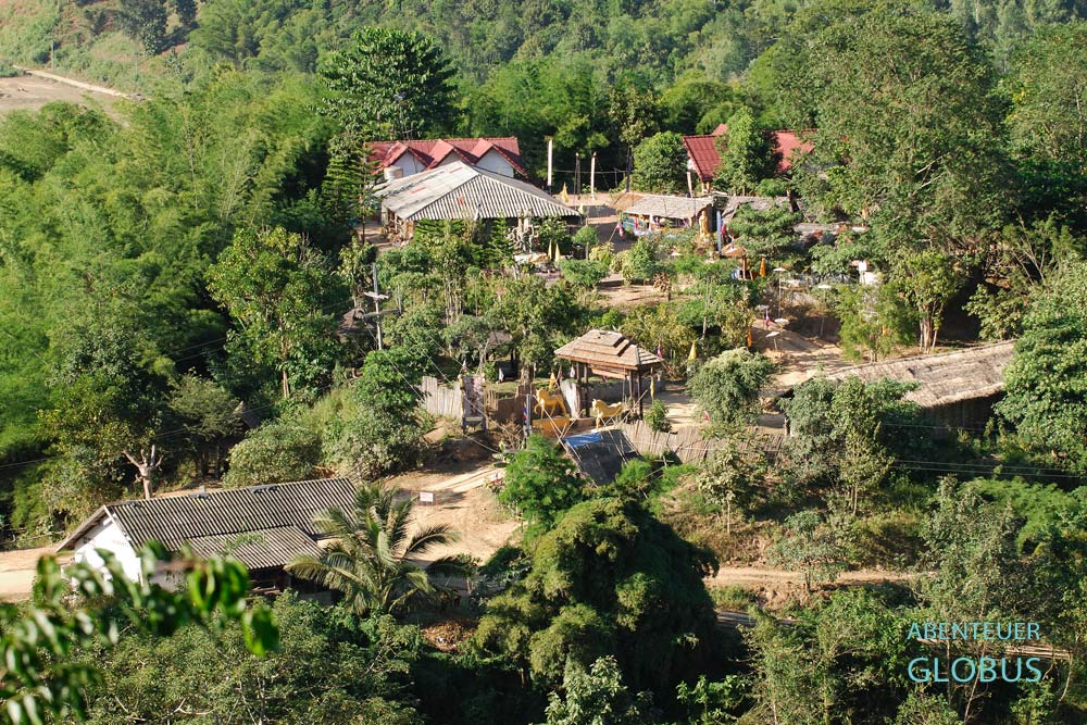 Das Kloster Zum Goldenen Pferd im Goldenen Dreieck in Thailand besitzt mittlerweile ca. 100 Pferde und Ponys.