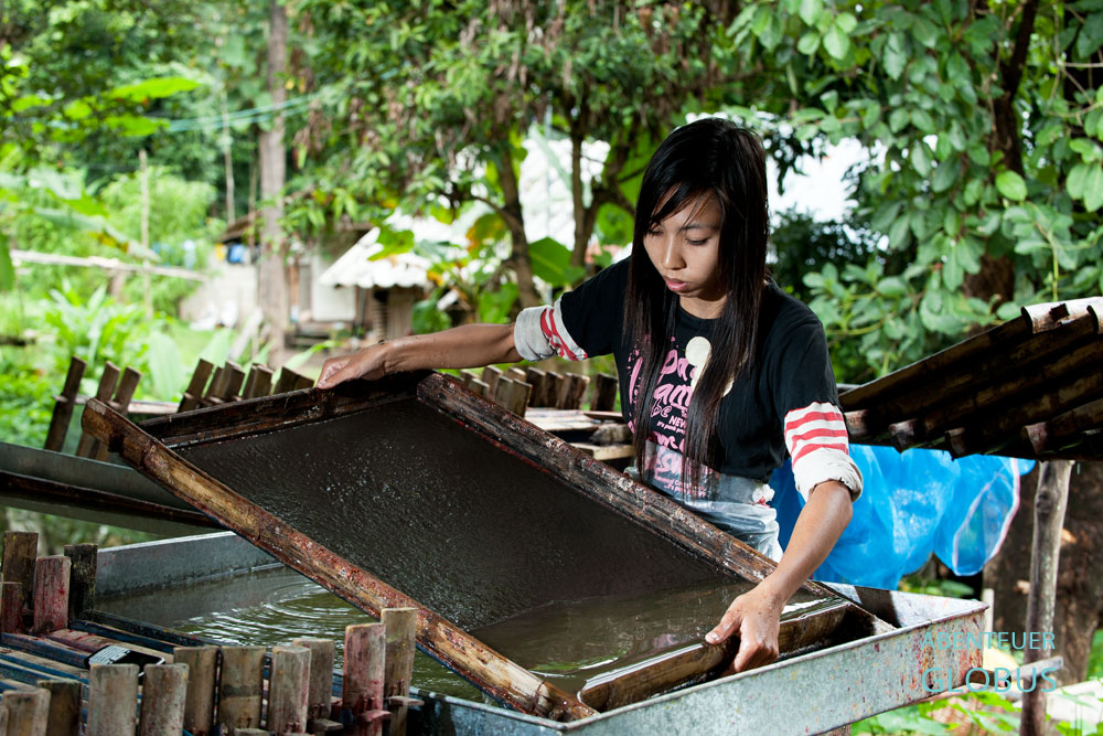 Eine Mitarbeiter der Elefanten-Dung-Manufaktur Lampang schöpft ein Blatt Papier aus 400 Gramm verarbeiteten Elefanten-Dung.