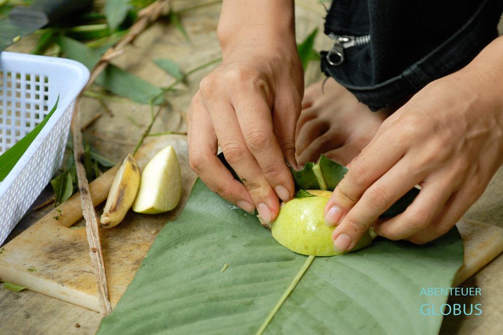 Einige Primaten im Endangered Primate Rescue Center in Vietnam erhalten in Blätter eingewickelte Früchte.