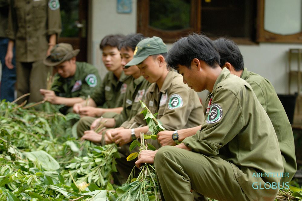 Tierpfleger stellen Bündel mit Laubblättern für die Tiere im Endangered Primate Rescue Center zusammen.