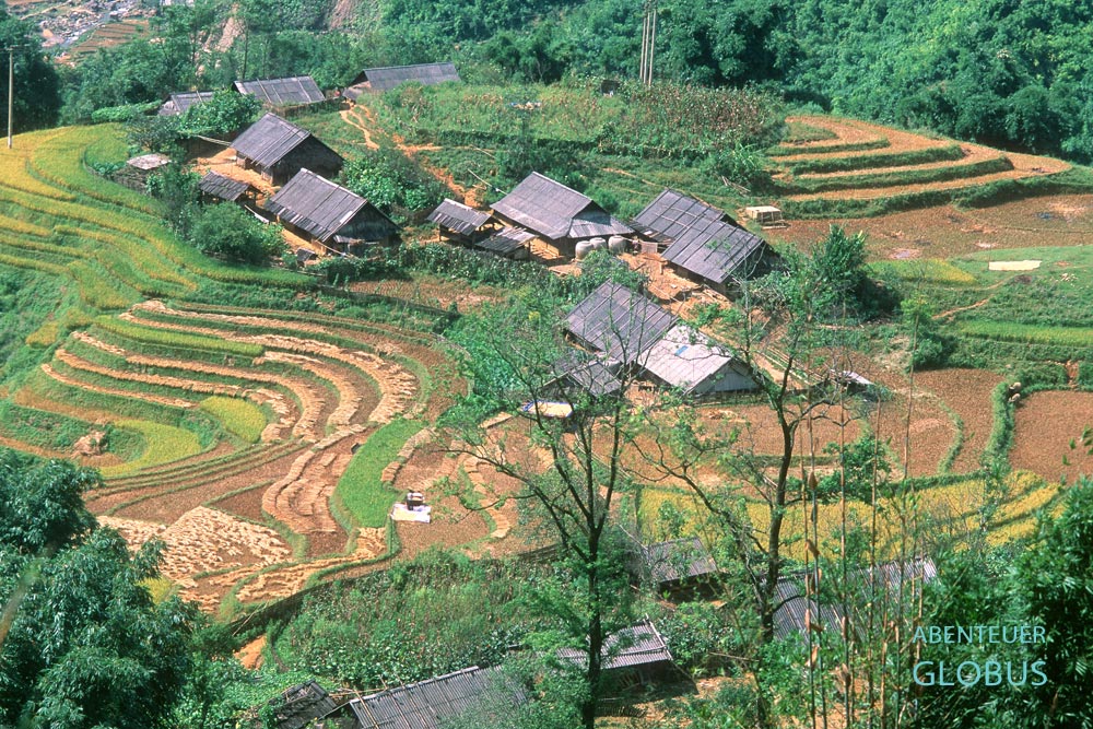 Blick von oben auf Reisterrassen und Häuser der Schwarzen Hmong