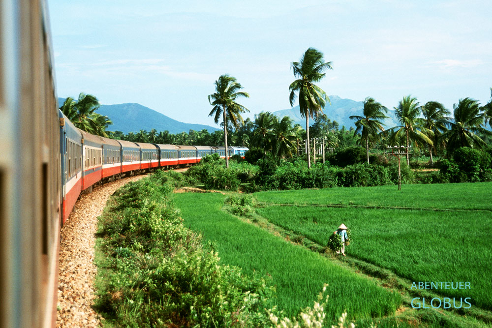 Frau mit Reishut zwischen Reisfeldern und Palmen, gesehen aus dem Zug von Hanoi nach Lao Cai