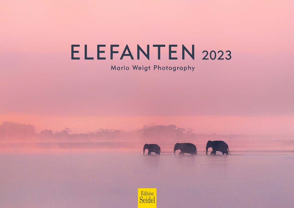 Elefanten 2023: Kalender vom Verlag Edition Seidel mit Fotos vom Asiatischen Elefant aus den Ländern Thailand, Laos, Kambodscha, Vietnam und Myanmar.