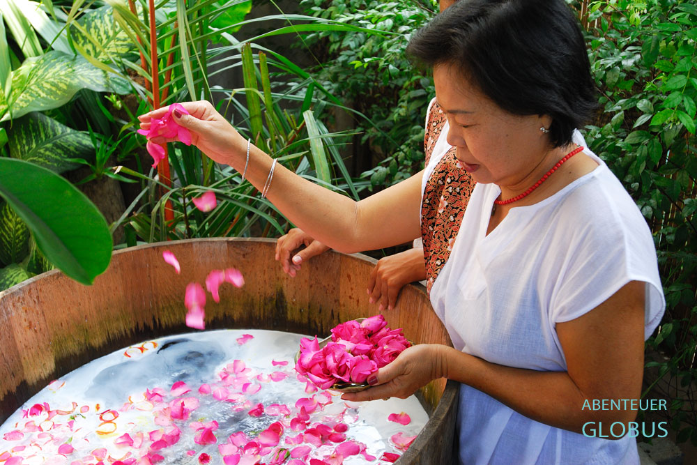 : Im Indo Thai Dog Spa, einem Hundehotel mit Wellnessbereich in Bangkok werden Hunde noch richtig verwöhnt.