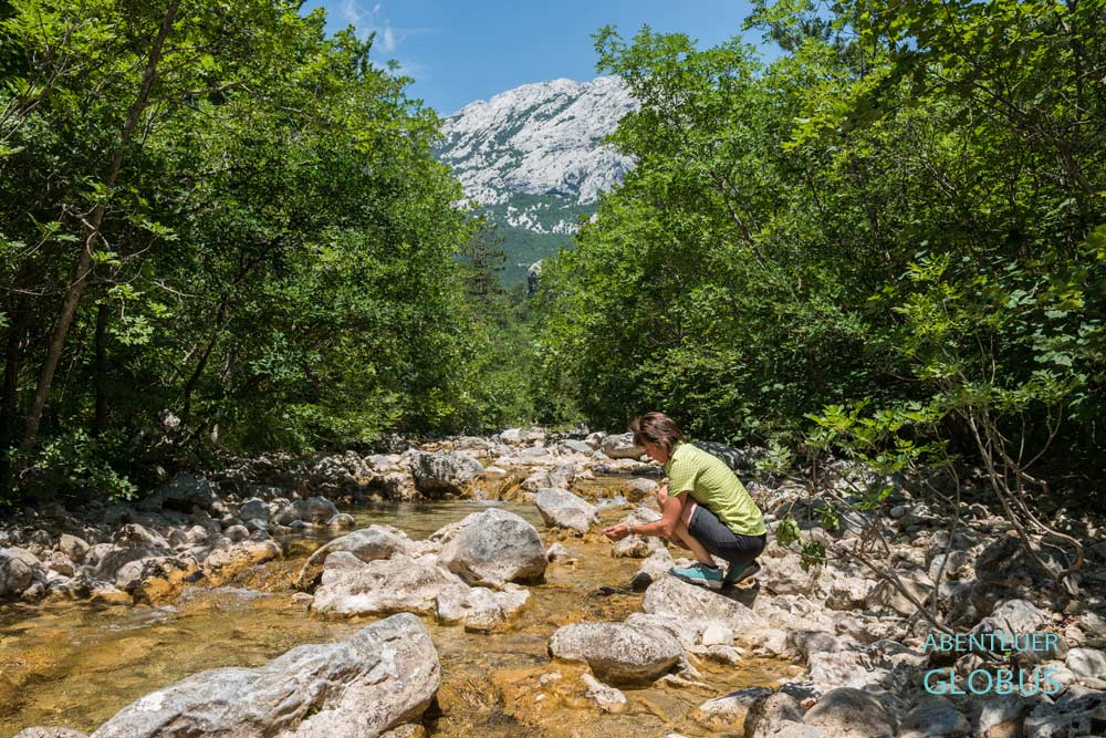 Fluss Paklenica im großen Canyon des Nationalparks Paklenica in Kroatien