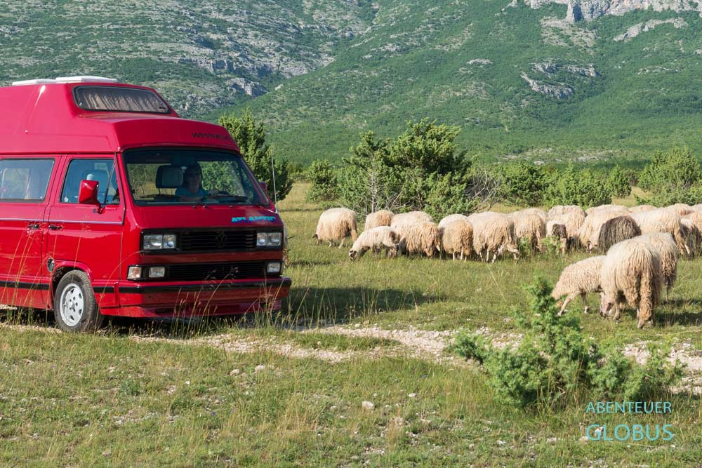 Camping und Roadtrip durch Albanien mit dem Wohnmobil, Bulli oder Kastenwagen