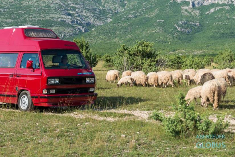 Tipps für die Einreise nach Albanien mit dem Campervan, Bulli oder Wohnmobil 