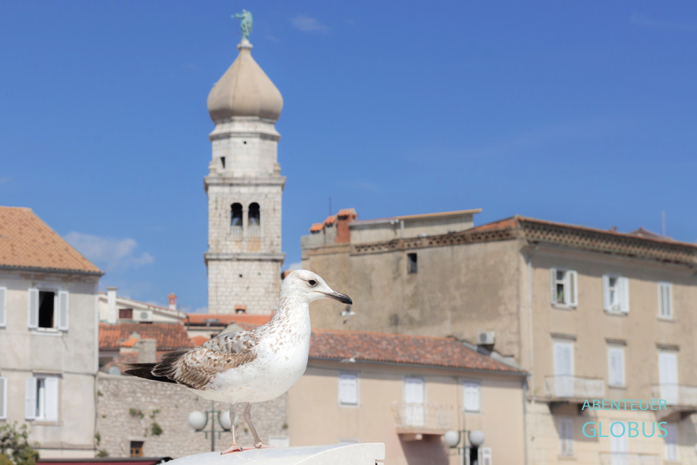 Glockenturm der Kathedrale Maria Himmelfahrt ist das Wahrzeichen der Stadt Krk auf der Insel Krk in Kroatien.