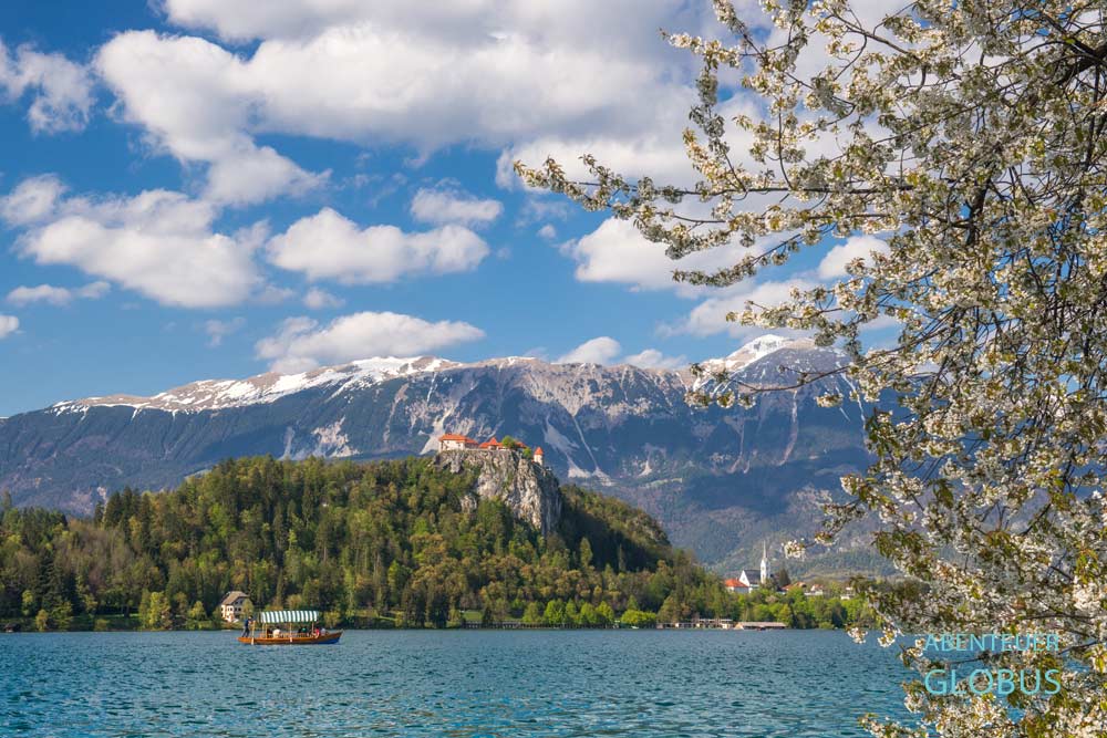 Bled in Slowenien: Burg Blejski Grad thront über dem Bleder See. Die noch schneebedeckten Karawanken im Hintergrund.