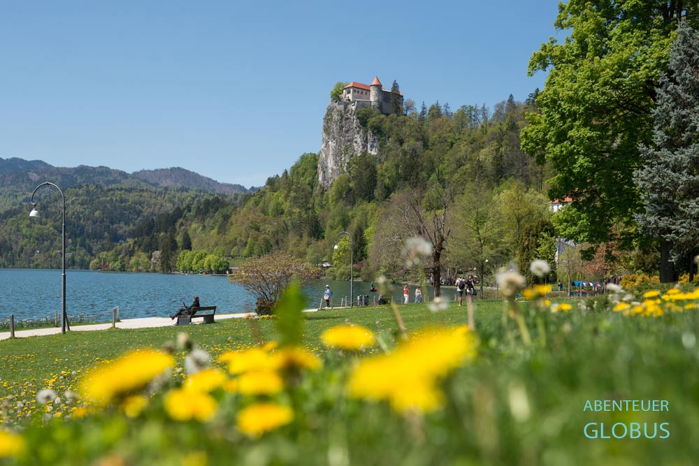 Uferpromenade und Rundweg am Bleder See und Burg Blejski Grad in Bled in Slowenien