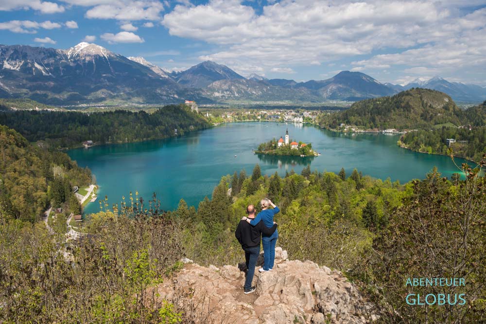 Aussichtspunkt Ojstrica: Blick auf den Bleder See mit Insel (Kirche Maria Himmelfahrt und Glockenturm) und die Karawanken in Bled in Slowenien