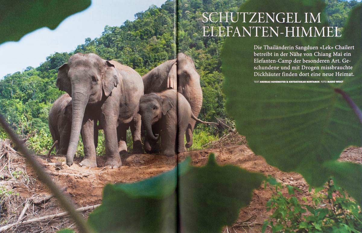 Elephant Nature Park Chiang Mai von Sangduen Lek Chailert: Reportage von Annett und Mario Weigt vom Reiseblog Abenteuerglobus.com