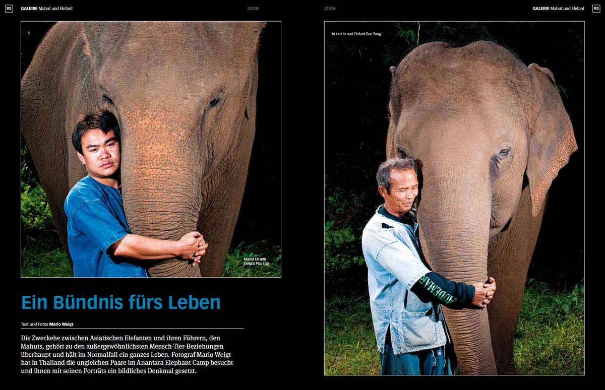 Elefant und Mahut - Ein Bündnis fürs Leben: Reportage von Annett und Mario Weigt vom Reiseblog Abenteuerglobus.com