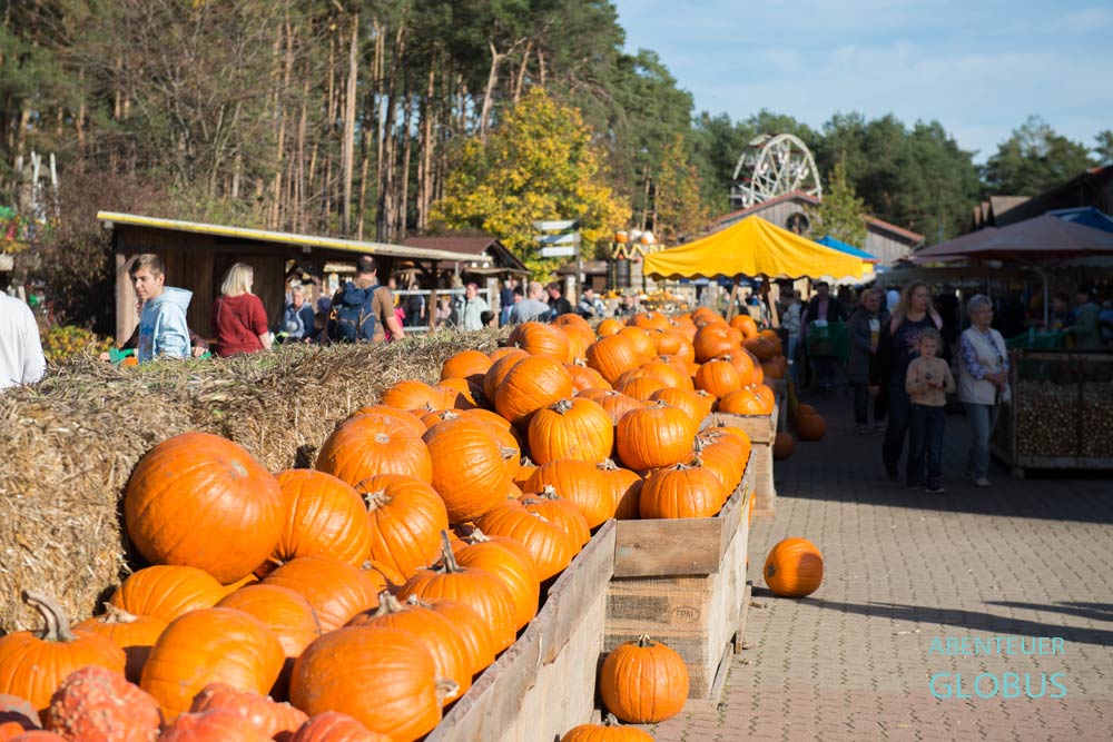 Kürbismarkt zum Kürbisfest im Erlebnis- und Spargelhof Klaistow in beelitz im Land Brandenburg