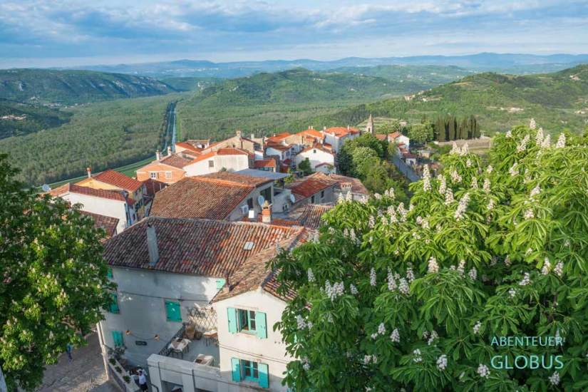 Aussicht auf das grüne Mirna-Tal von der Stadtmauer in Motovun auf Istrien in Kroatien