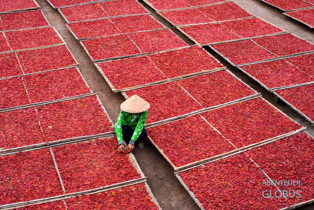 Kampong Chhnang, Tipps und Sehenswürdigkeiten: Trocknung von Paprika am Hafen