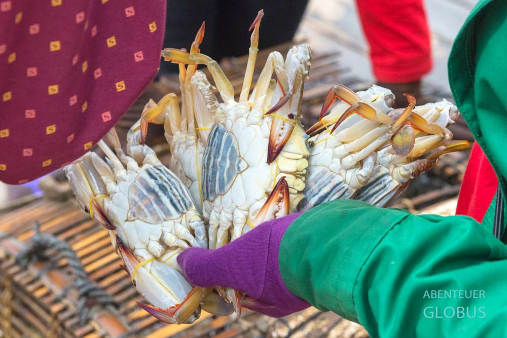 Tipps für Kep, Kambodscha:  Auf dem Krabbenmarkt werden frische Krabben verkauft. 