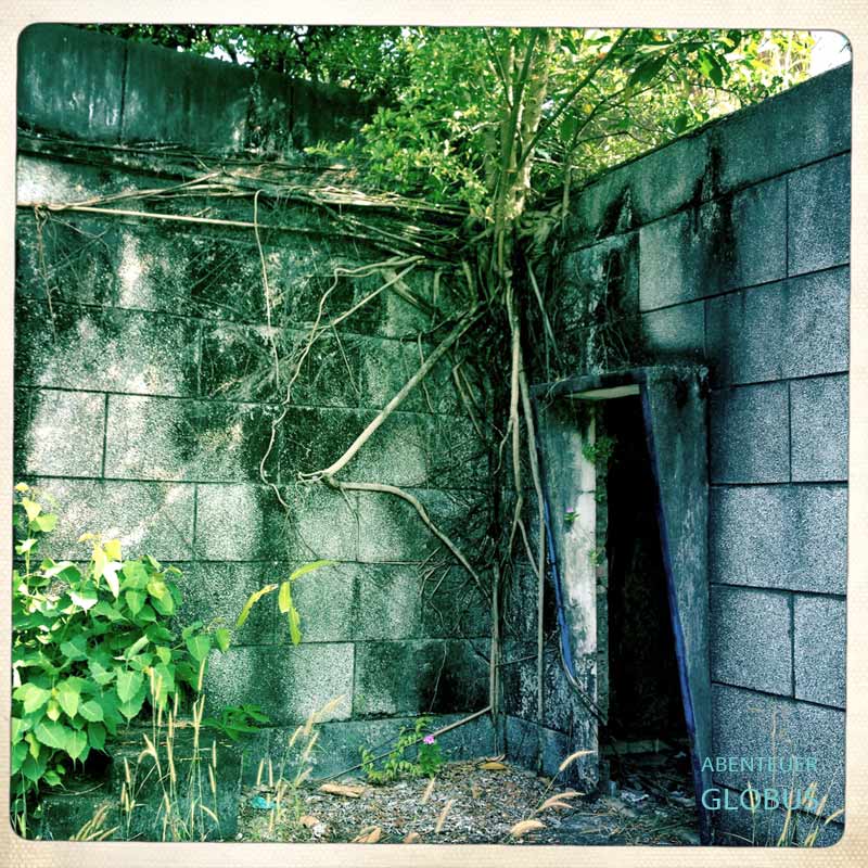 Villa im Strandbad Kep: Würgefeigen erobern die Mauern