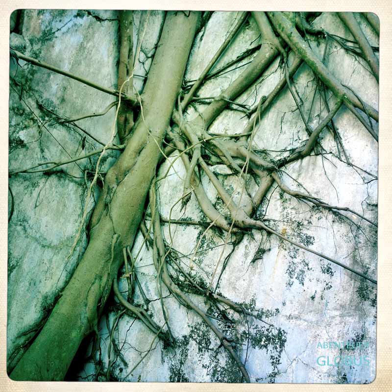 Kep in Kambodscha: Würgefeigen erobern die alten Mauern einer Villa im Stil der Modernen Khmer-Architektur