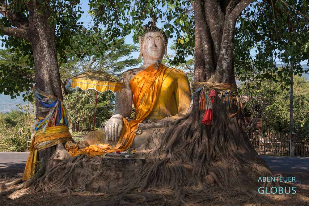 Tipps und Sehenswürdigkeiten für Champasak: Buddha-Statue unter einem Bodhi-Baum an der Dorfstraße