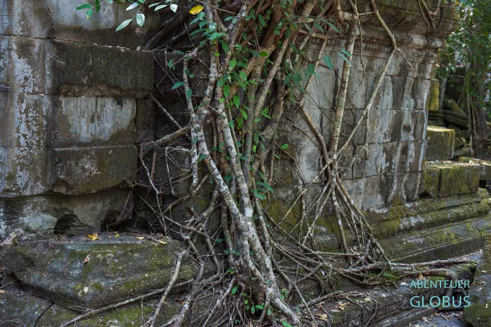 Wat Tomo, auch Ou Muang genannt, liegt Dschungel nahe Champasak.